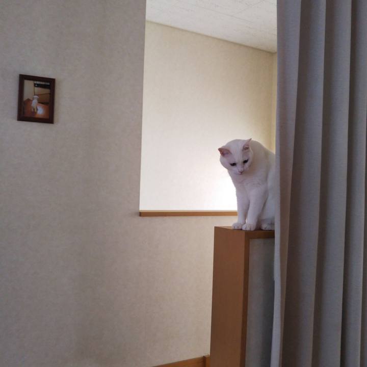 2345d7a2 143f 4887 9f9b 0e10ae407490 1536102005978