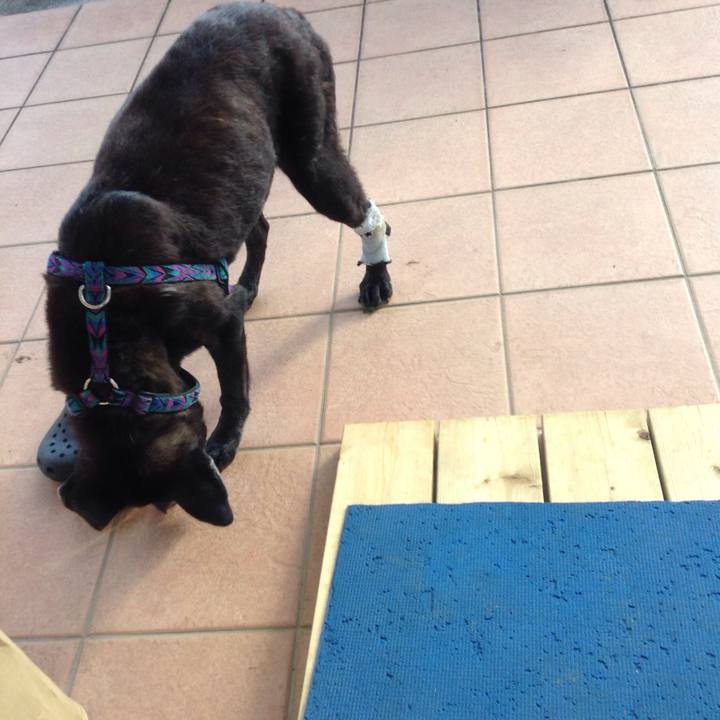 2345dcbe 9d78 4e21 8ff9 06587f7d0b55 1510188251640