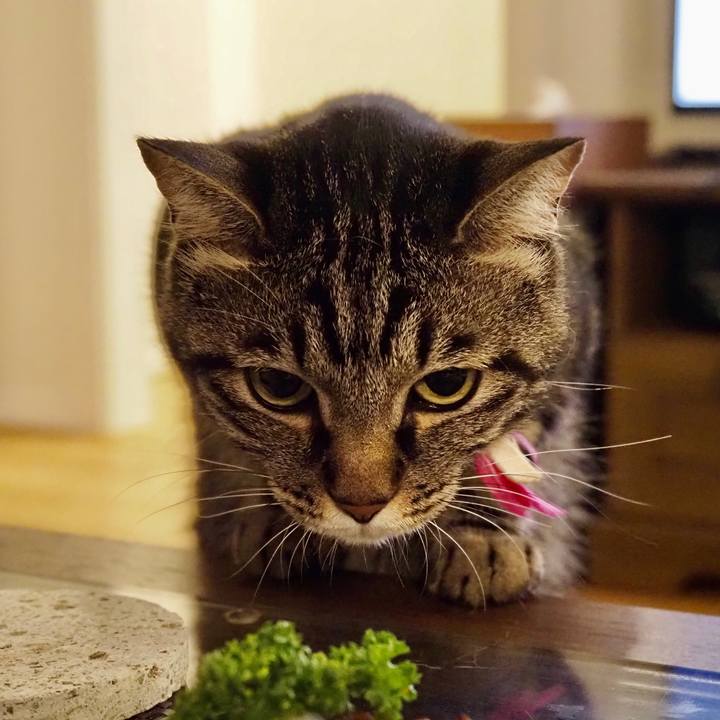 23460e96 dfe8 4166 96af c2b5d2bee5b7 1628514443681