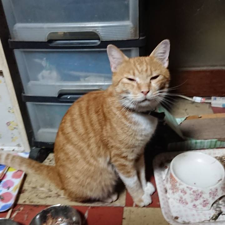 23462f34 9dea 41d4 b033 12e788ac462d 1568145087481