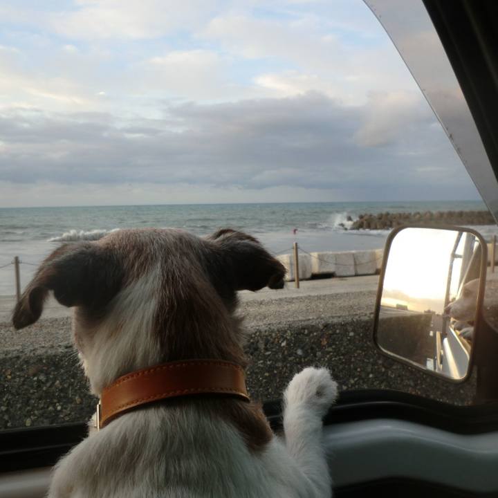 234652d6 0690 4b4b a112 388513749217 1570362700036