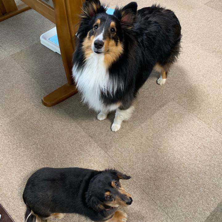 234686d2 9638 4a98 8d1b 24684e63edac 1554934089520