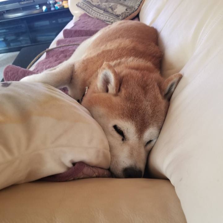 2346bb17 c5b9 4091 a53d 7a2f957cd385 1695080413831