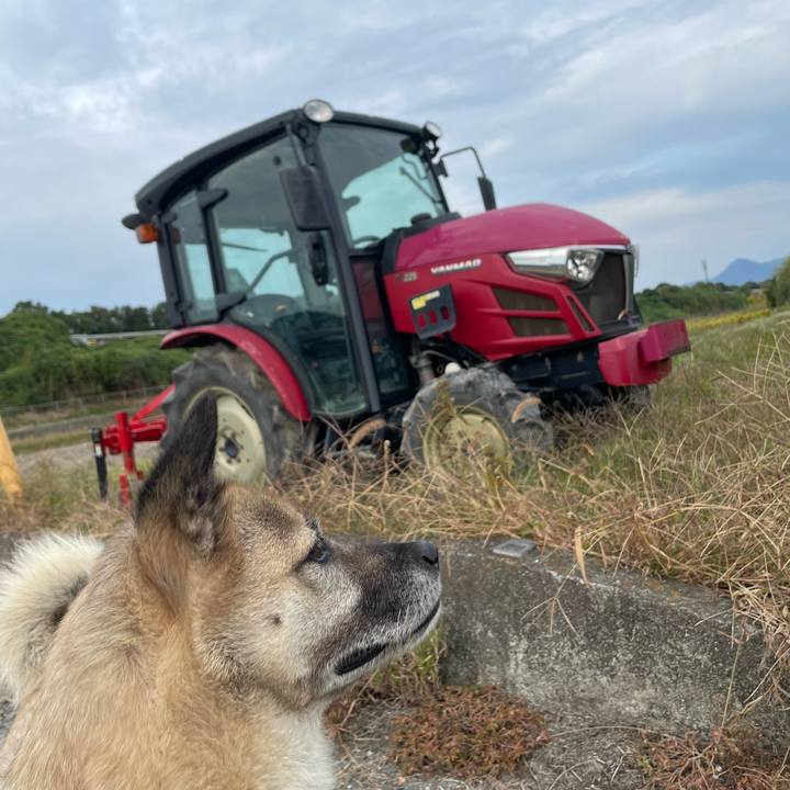 2346c4eb c44f 4279 a897 6f85feea0b3b 1699099382216