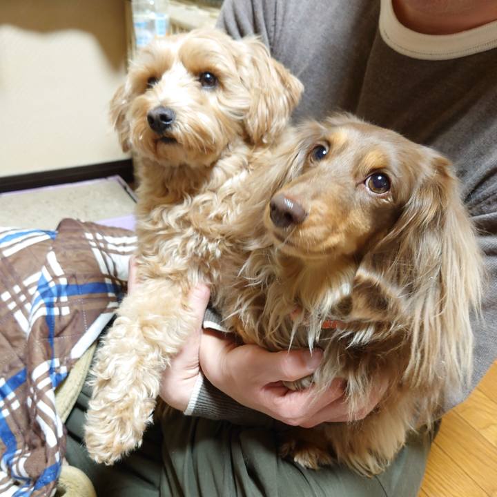 2346cfbd 475b 4b18 a325 9babbb1da0fe 1614427173019