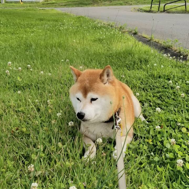 2346d598 a2db 4eb0 b2c6 df125678f814 1622881666459