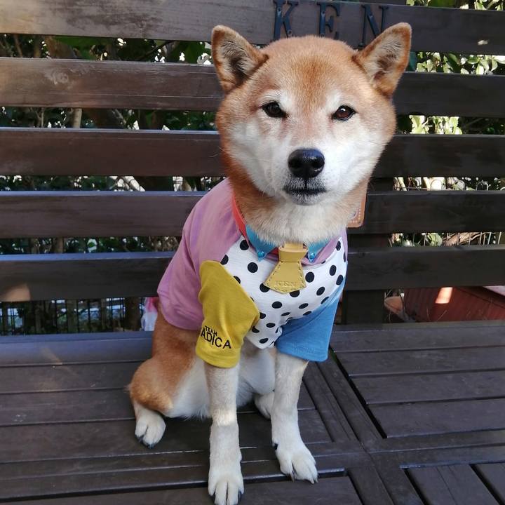 234726a0 93e6 4d84 9e7e 25318dd08d72 1675243972647