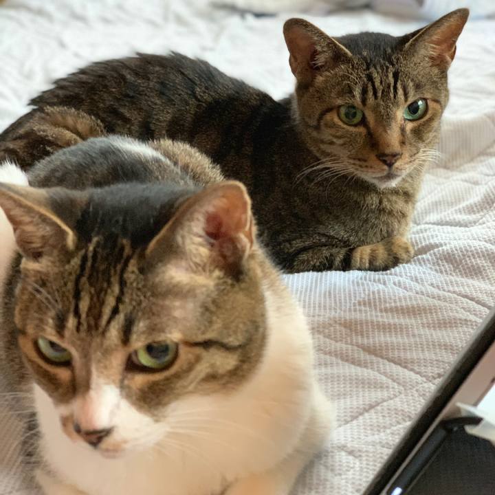 23474680 cbf0 46ec 879d 39d24b50f331 1570064541843