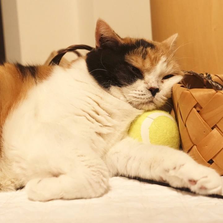 2347666c f11b 472c bdd4 ab4b8ca30016 1525796302670