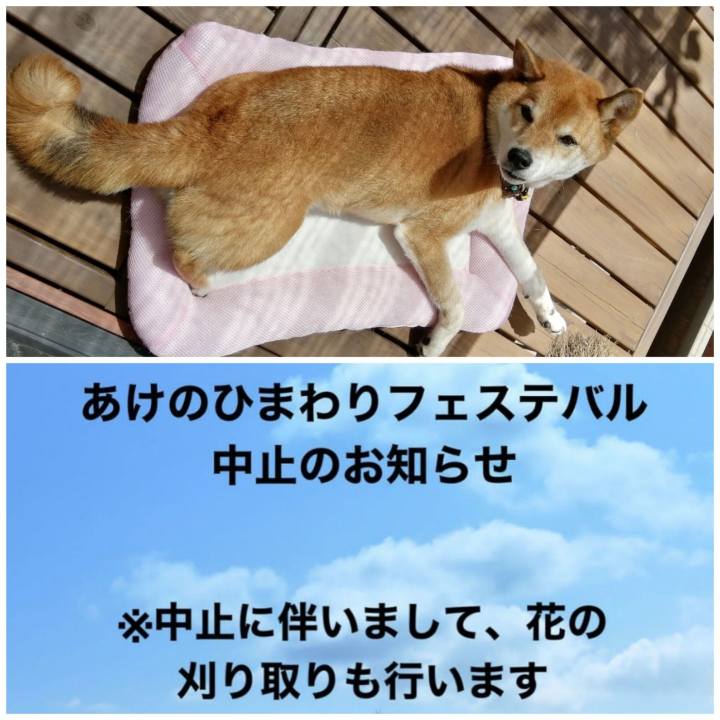 23479d4e daa1 48ef a52f 167aa1ac7fa2 1629427912677