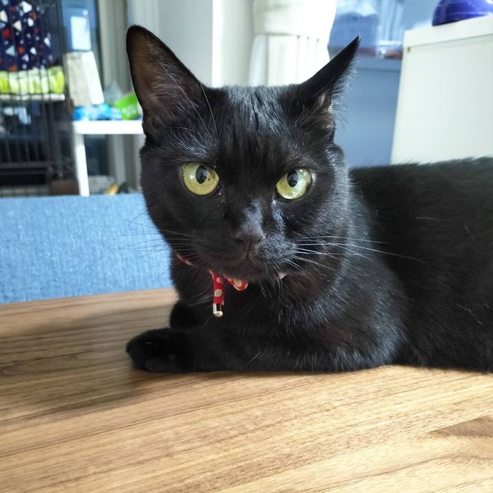 2347a5ca 6b30 46b7 82a6 e459f34f8b6c 1687343358149