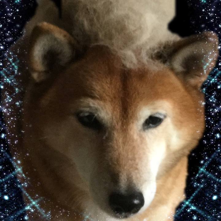 2347d85e 3feb 46a4 88ca f7ae0830309e 1604823095136