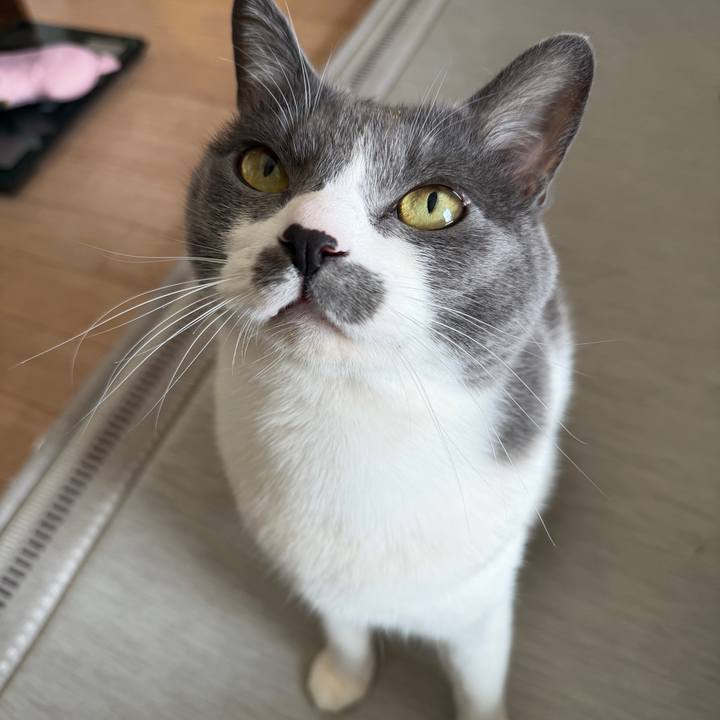 23482490 82f4 4923 bc7c 38ae031e72ff 1768707777536