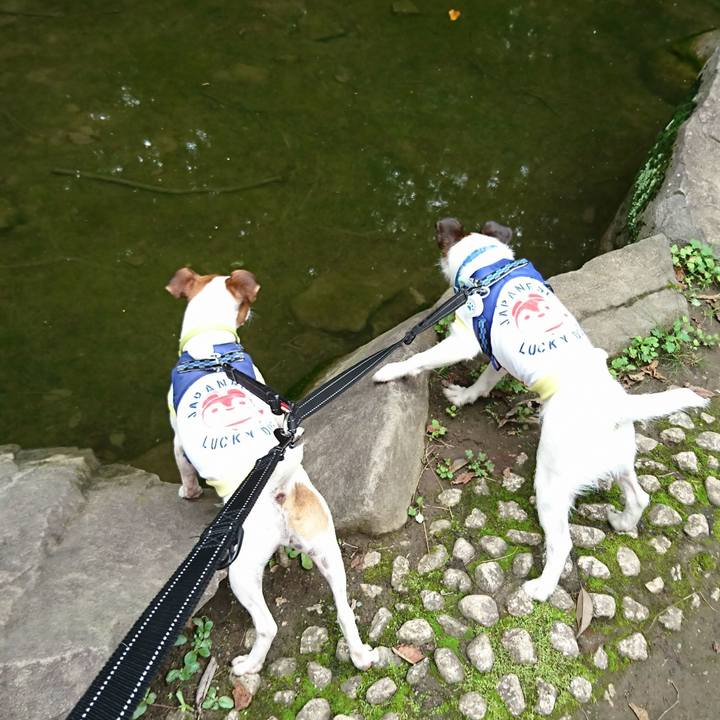 23484abd e8f9 46ec 9bbe ad9cdaa79182 1562990192499