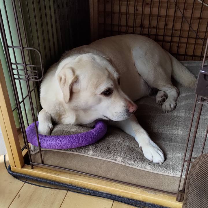 23487779 3d3f 47fe a495 f34afe03946e 1708654695119