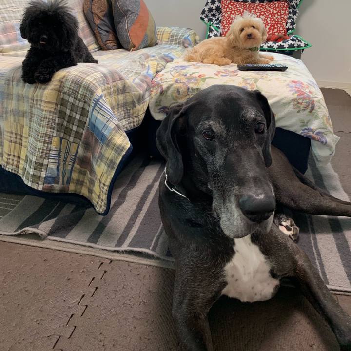 234878a2 261d 4293 9809 cd6699f5e14e 1560984426708