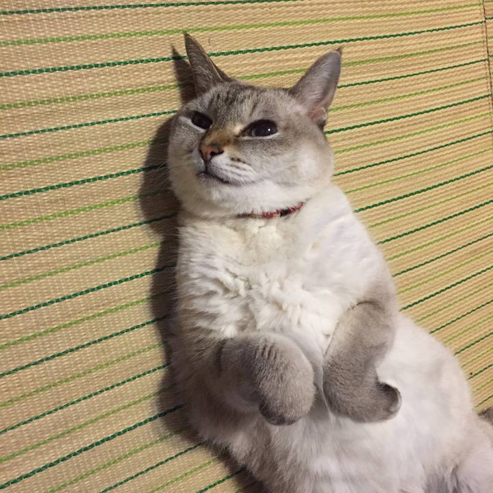 2348821f e436 4ec8 bb18 ca965181157e 1537395771975