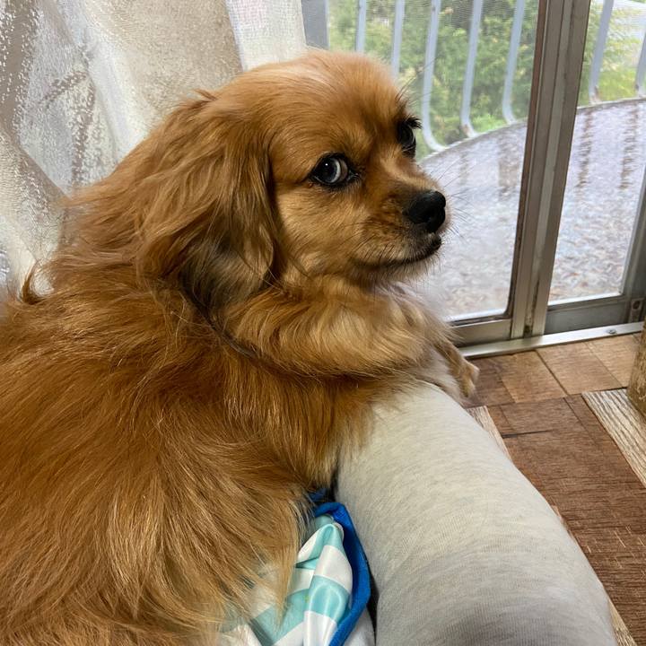 23488ca3 4e3a 4afe 85f2 41c52055ca5b 1623618167037