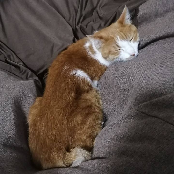 23489256 b954 4b75 8aec 0d48ddc54898 1640869920676