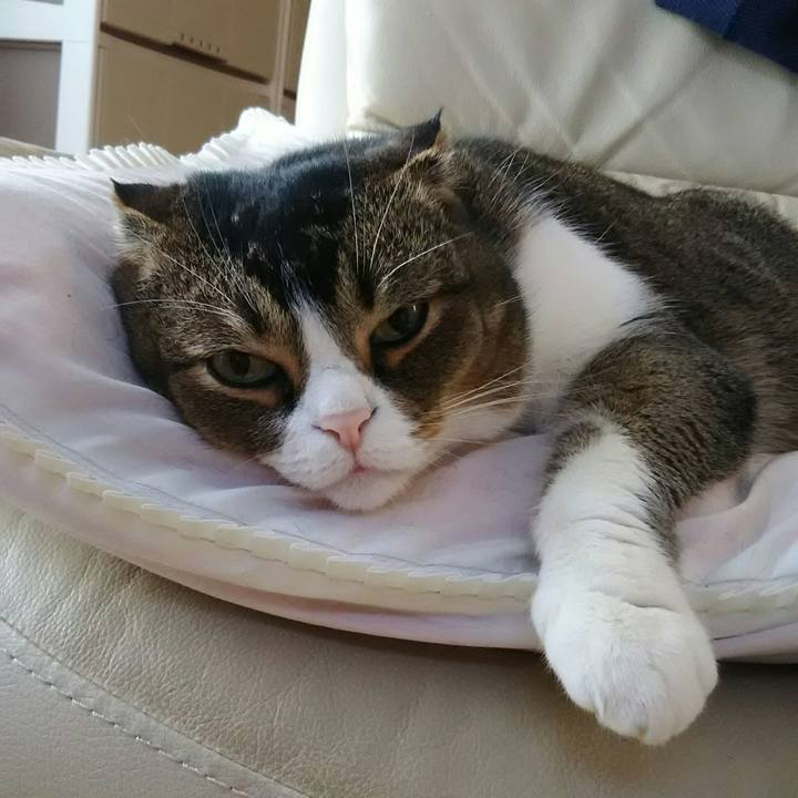 234896b0 6af1 4f94 b8ef 2a4b60ea2d6f 1554937238199