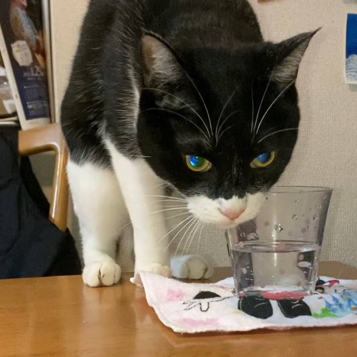 2348a21b 66d4 4108 aae5 788fe280b0c4 1640154137846