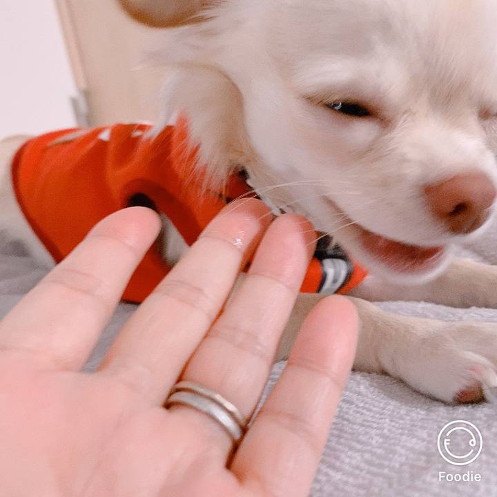 2348a864 c274 4ca2 8192 93b1f238cf5d 1605758824265