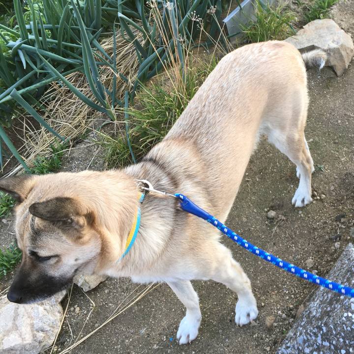 2348b919 821c 49b5 9e25 74deb9f4de1a 1512562139798