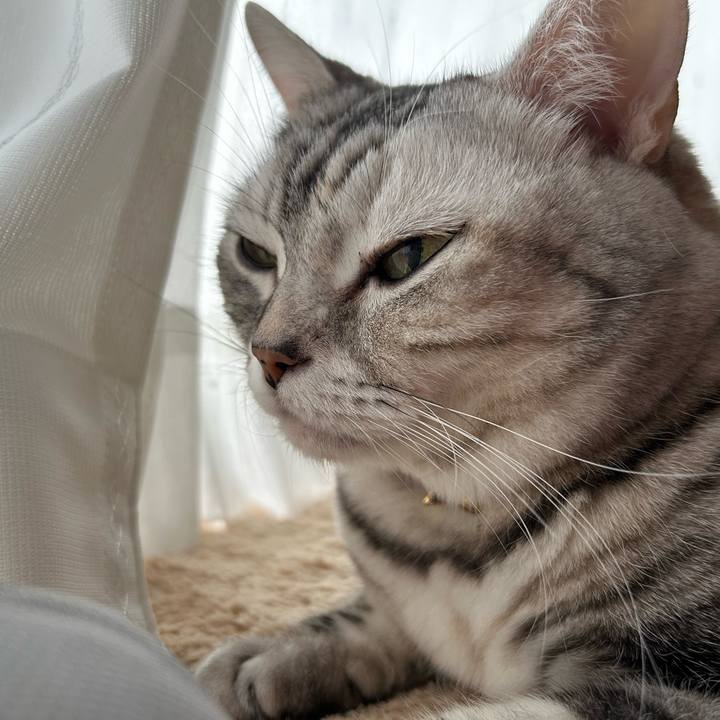 2348d3ae a5ae 4e77 8bfc e77d9689978c 1764541548890