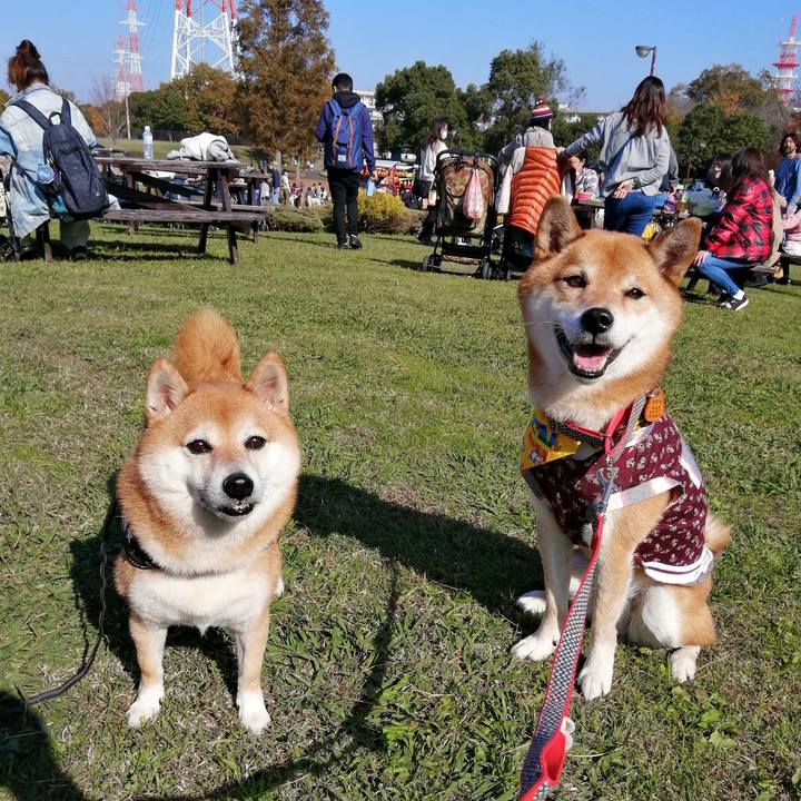 2348fa92 48fd 4e02 95b5 52d3a6660cfe 1605347643694