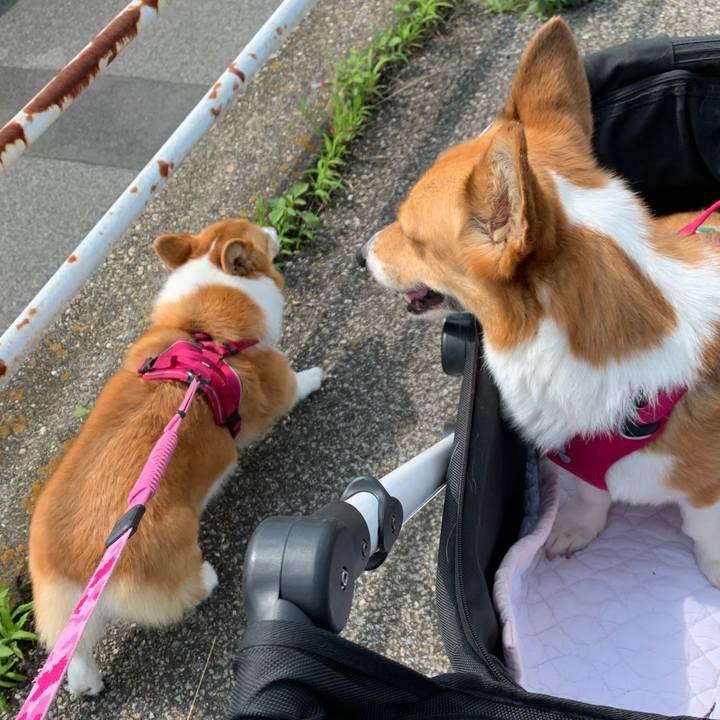 23493abb e879 4f01 99ba ea74c89606bf 1626138742569