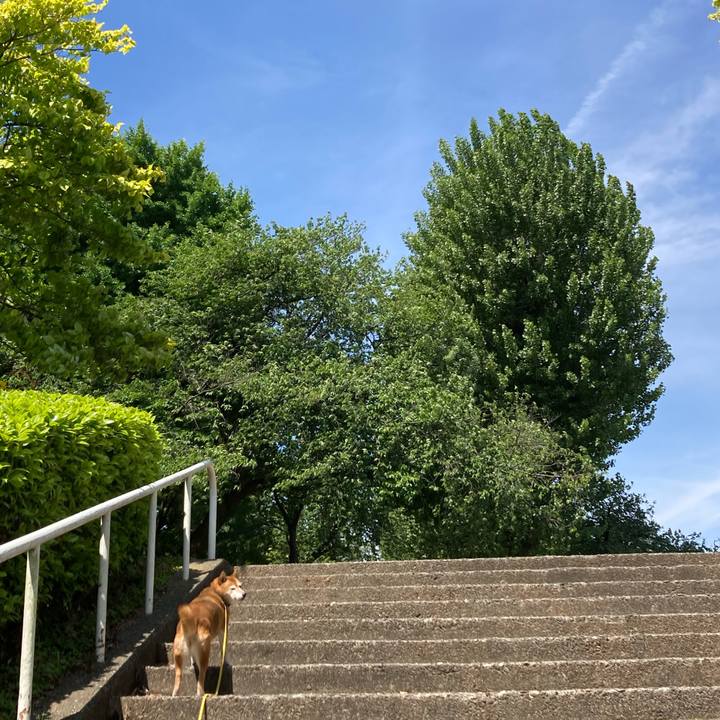 234977c3 c80a 4fe0 985d 6400634b01ba 1652153913347