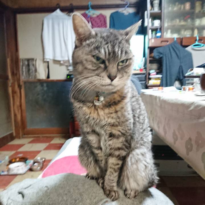 2349892a acb5 4512 aa53 94c6934653cb 1577051891612