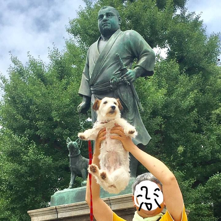 234994ea 9730 4ad5 b429 ae55aec08baf 1563233107342