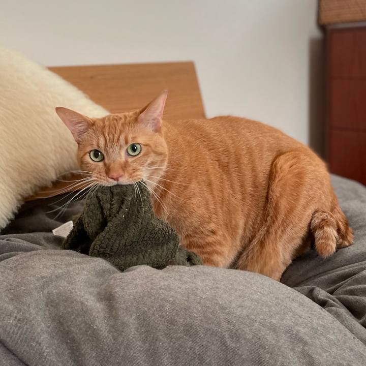 2349de42 95ec 46b3 855a 8c8c093d5e18 1666234162367