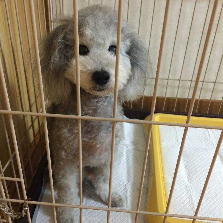 2349f4f6 9184 439b 88c7 e5e68e95306e 1759141051129