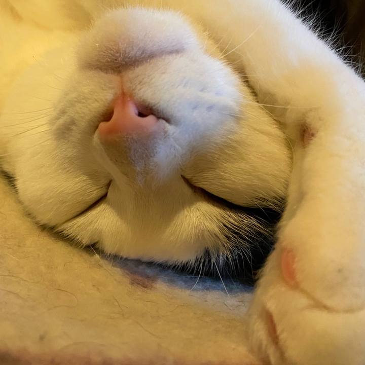 2349f7b0 4378 4f7c a063 bc08abfff341 1623644071752