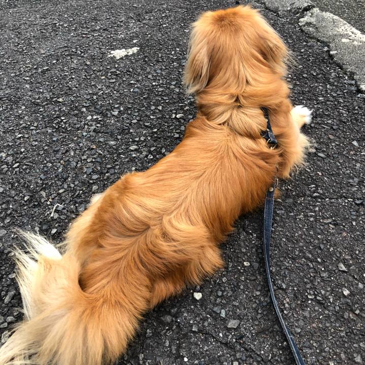 2349f9a3 33da 4500 99a4 813e0b9ac056 1531951418014