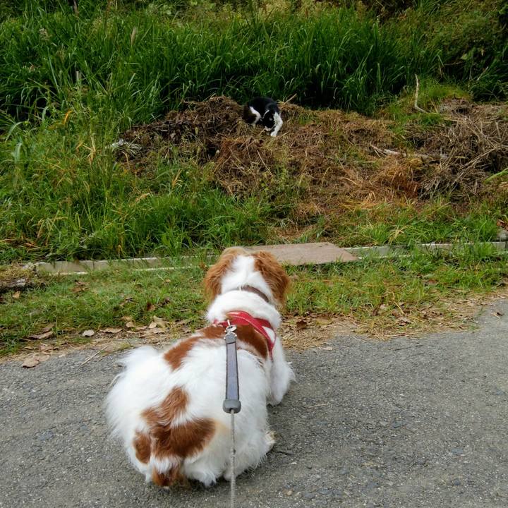 2349fdb5 6961 4202 a896 05e28d38f7eb 1539993381166