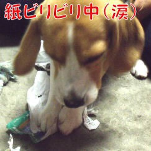 234a29a3 1db4 4f4c 9f1c 564a014d9111 1688861468652