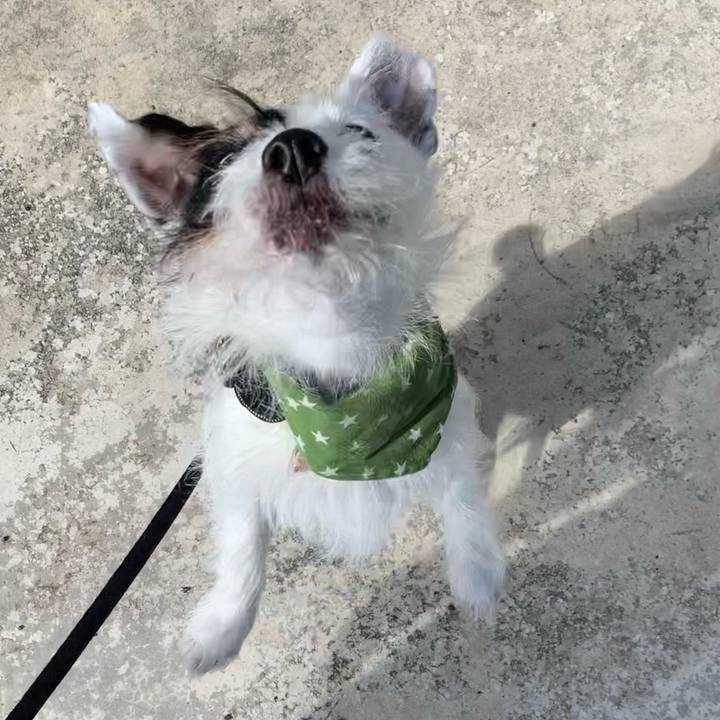 234a3344 9050 495f a64d ddaea505d56b 1660087314225