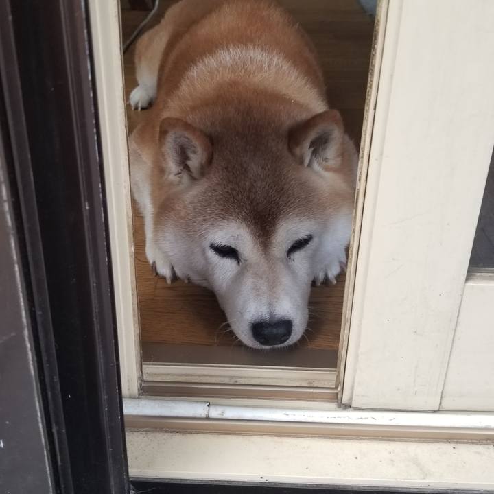 234a4185 4017 46ba 820a d0fbad83f226 1692245349186