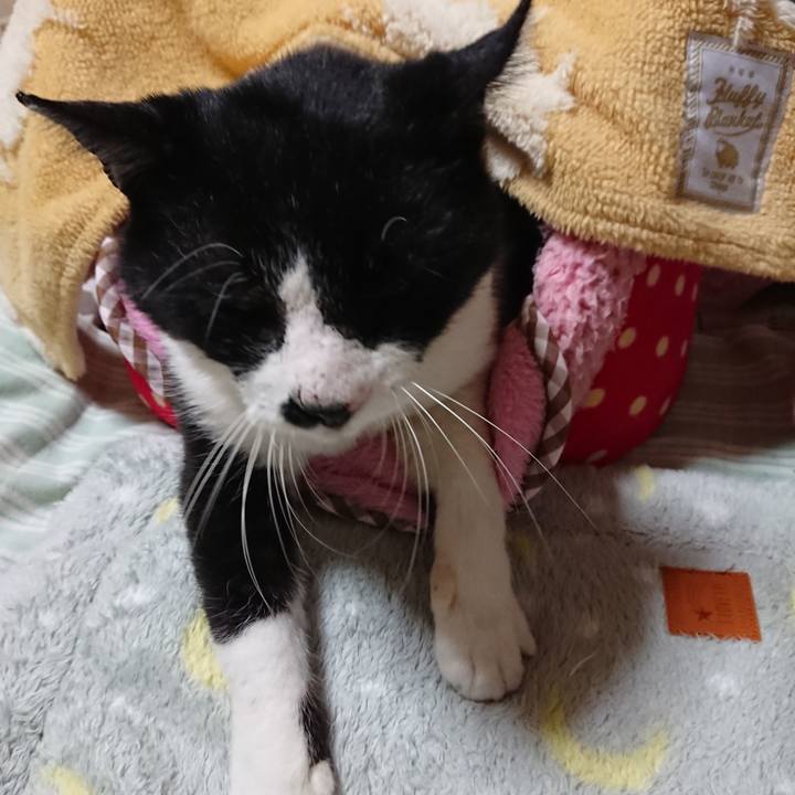 234a48f2 a4be 4e39 bd4f 49b7b089f207 1573569328175