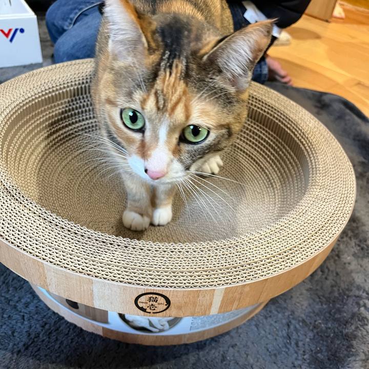 234a4e54 ad5e 4a1b b0e1 0b8a18105f74 1672366904396