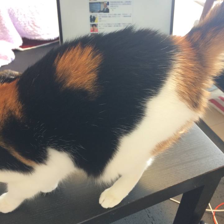 234a693a 0ea2 496f adbd 041d5701ba3c 1588159083395