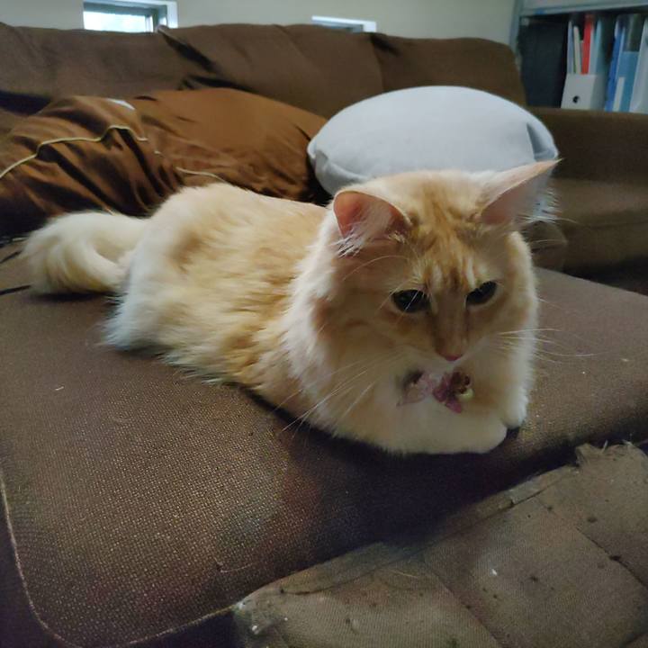 234a7912 64f0 4c00 8685 20f97a8042a4 1663106368813