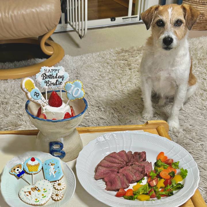 234a8528 67f1 4a8f 971e 45ef7a22a214 1745157354962