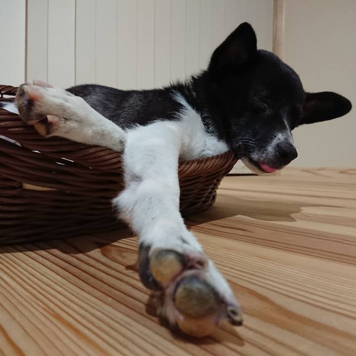 234aa95d fd08 4c9f 8282 46fbdf176d0c 1567005235037