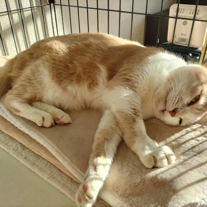 234ac28c 86f6 4f3b 80b5 38f97f106227 1634682578881