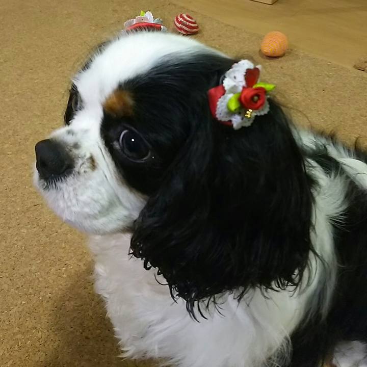 234b3b29 d3f8 4f93 ad44 22b231ad9373 1536582460884