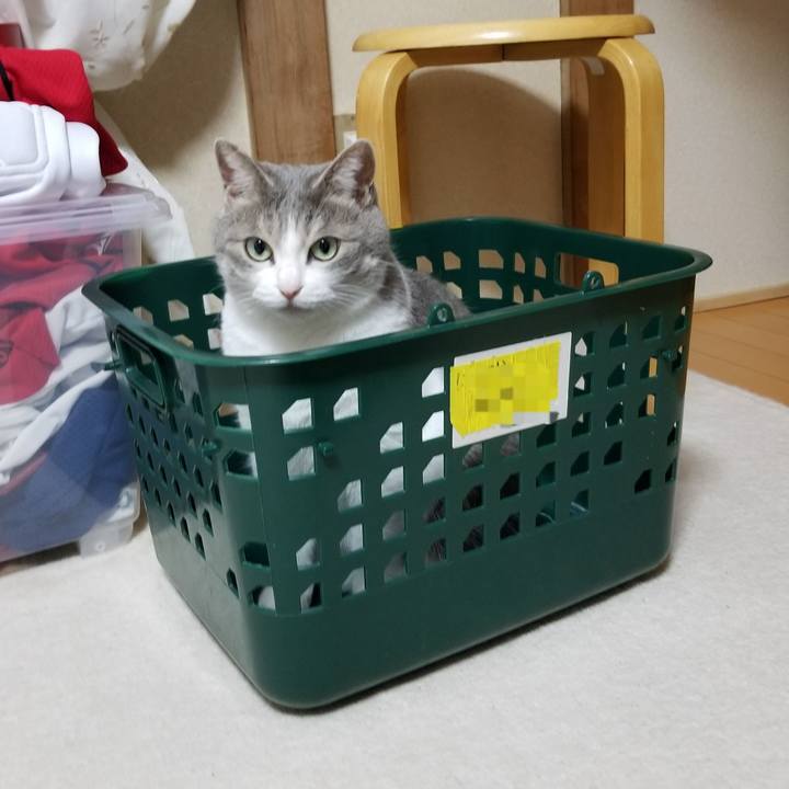 234b5621 1caa 42d0 8655 ada111cde0d7 1597841273346